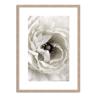 Framed design poster: White Blossom 71x51cm, picture, mural, wall decoration
