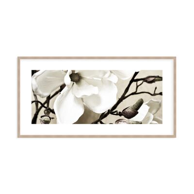 Framed design poster: Magnolia 101x51cm, picture, mural, wall decoration
