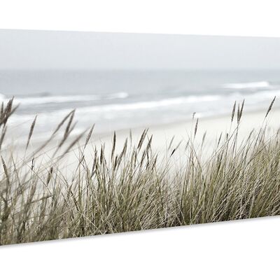 High quality canvas picture, wall decoration: dune grass 80x30cm, picture, mural, wall decoration