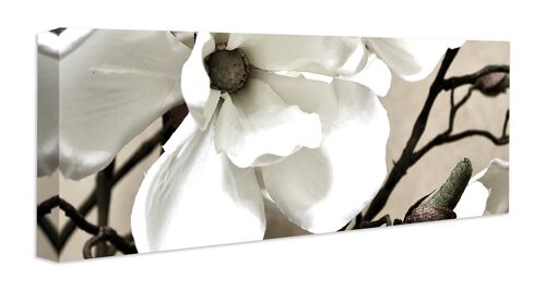 hochwertiges Leinwandbild, Wanddekoration: Magnolia 80x30cm, Bild, Wandbild, Wanddekoration
