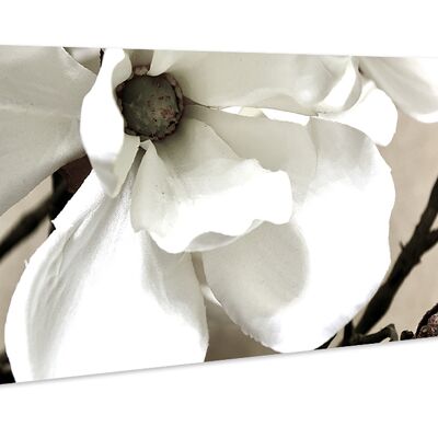 hochwertiges Leinwandbild, Wanddekoration: Magnolia 80x30cm, Bild, Wandbild, Wanddekoration