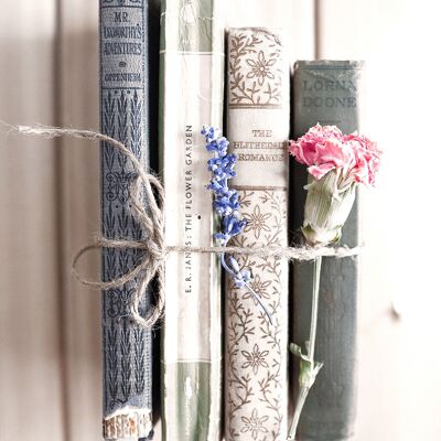 Design poster on wood / decorative panel: books 20x30cm, picture, mural, wall decoration