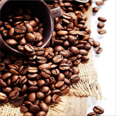 Design poster on wood/deco panel: coffee beans 30x30cm, picture, mural, wall decoration