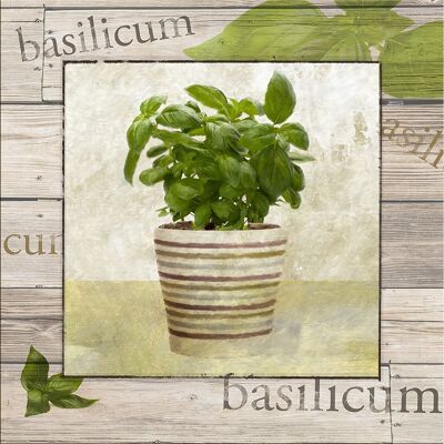 Design poster on wood/deco panel: basil 30x30cm, picture, mural, wall decoration