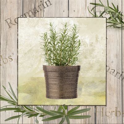 Design poster on wood/deco panel: rosemary 30x30cm, picture, mural, wall decoration