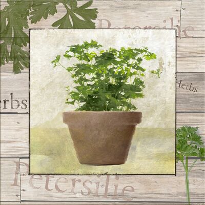 Design poster on wood/deco panel: parsley 30x30cm, picture, mural, wall decoration