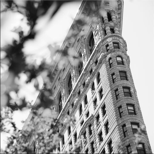 Design-Poster auf Holz / Dekopanel: Flat Iron Building 30x30cm, Bild, Wandbild, Wanddekoration