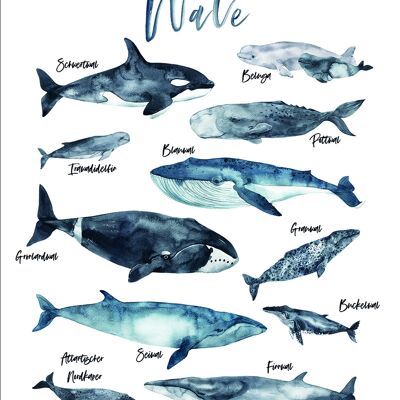 Design poster on wood/deco panel: whales 40x50cm, picture, mural, wall decoration