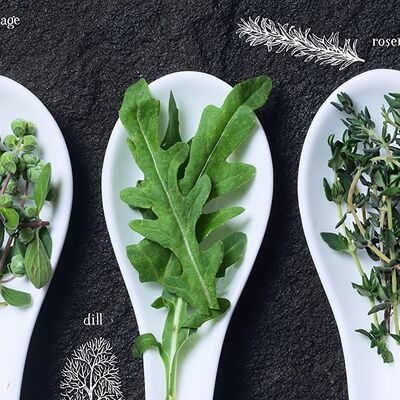 Design poster on wood / decorative panel: spoon with herbs 90x30cm, picture, mural, wall decoration
