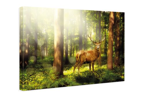 hochwertiges Leinwandbild, Wanddekoration: Hirsch 90x60cm, Bild, Wandbild, Wanddekoration