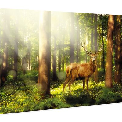 High-quality canvas picture, wall decoration: deer 90x60cm, picture, mural, wall decoration