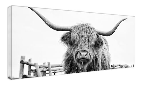 hochwertiges Leinwandbild, Wanddekoration: Highland Cow 120x50cm, Bild, Wandbild, Wanddekoration