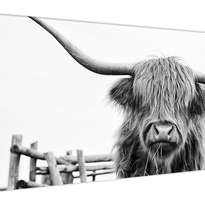 hochwertiges Leinwandbild, Wanddekoration: Highland Cow 120x50cm, Bild, Wandbild, Wanddekoration