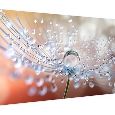 High-quality canvas picture, wall decoration: Dandelion Detail 120x50cm, picture, mural, wall decoration