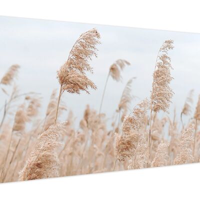 High-quality canvas picture, wall decoration: playing with the wind 120x50cm, picture, mural, wall decoration