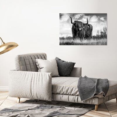 Design poster on wood/deco panel: highland cattle 90x60cm, picture, mural, wall decoration