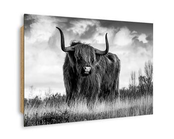 Affiche design sur bois/panneau déco : vache des Highlands 90x60cm, tableau, murale, décoration murale 2