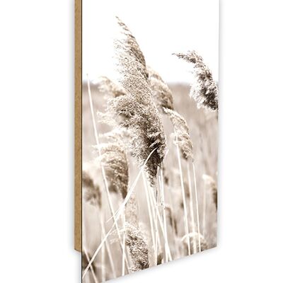 Design poster on wood/deco panel: pampas grass 90x60cm, picture, mural, wall decoration