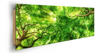 Affiche design sur bois/panneau déco : cime des arbres 118x41cm, tableau, murale, décoration murale 3