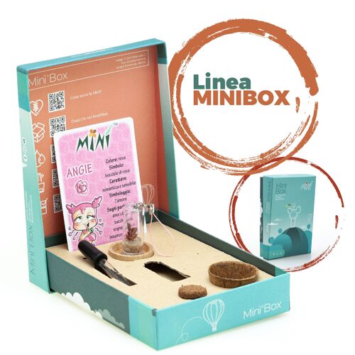 Linea MINÌ®Box - Assortimento consigliato dei nostri migliori prodotti.