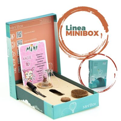 MINÌ®Box Line - Empfohlenes Sortiment unserer besten Produkte.