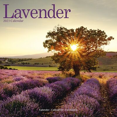 Kalender 2023 Lavendel