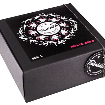 Box1 Plus Rosa Jerico XL 1 unidad