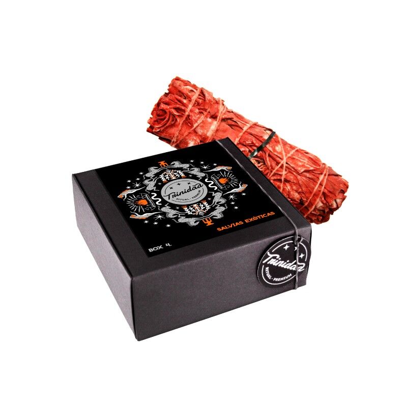 Box4 Exotic Salvias 3 Assortimento