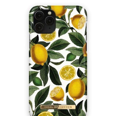 Custodia alla moda per iPhone 11 PRO/XS/X Lemon Bliss