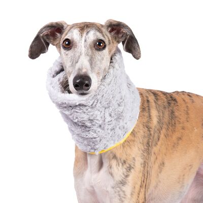 Neck Scarf for dog Groc Groc Uoamy Gray Plush - L