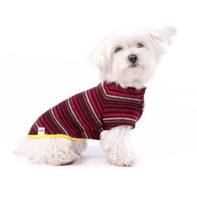 Groc Groc Oliver Pull pour chien Rayures rouges - XS