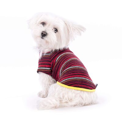 Groc Groc Oliver Pull pour Chien Rayures Rouges - S