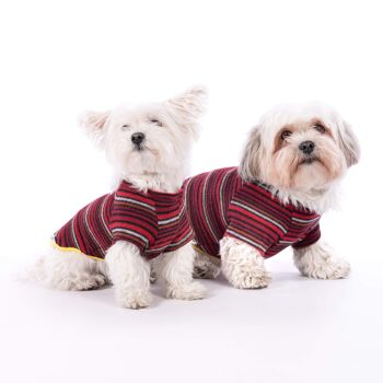 Groc Groc Oliver Pull pour Chien Rayures Rouges - M 2