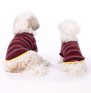 Groc Groc Oliver Pull pour Chien Rayures Rouges - M 7