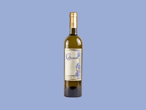 Calicanto Zibibbo Terre Siciliane IGP - Cantine Vinci