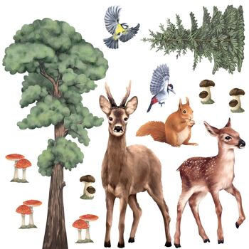 Sticker mural | Animaux de la forêt II 5
