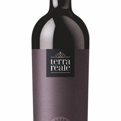 VINO Negroamaro IGP PUGLIA