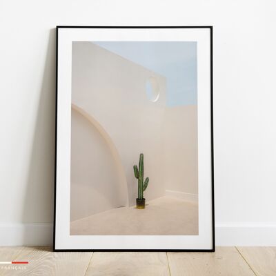 Affiche cactus - poster de plante