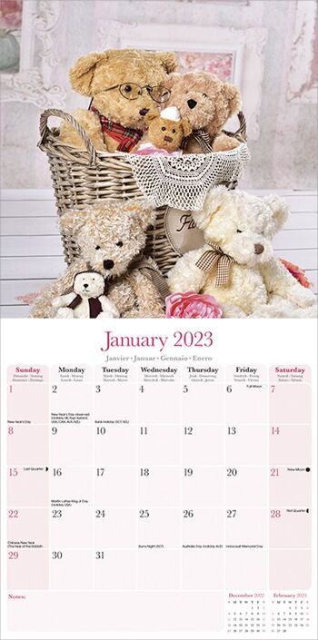 Calendrier 2023 Ourson peluche 2