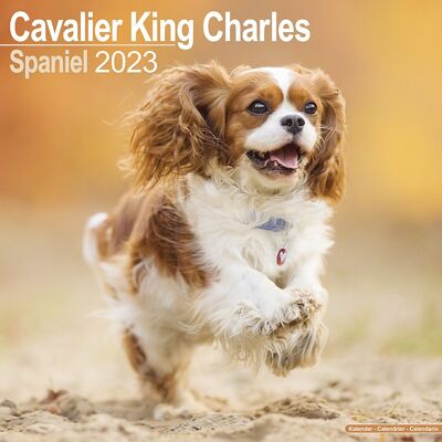 Calendario 2023 Cavalier rey carlos