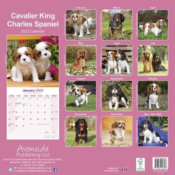 Calendrier 2023 Cavalier king charles 3