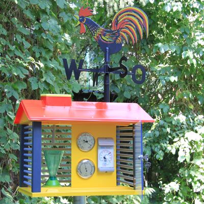 Weather station with instruments and weathercock | Weather station indoors and outdoors