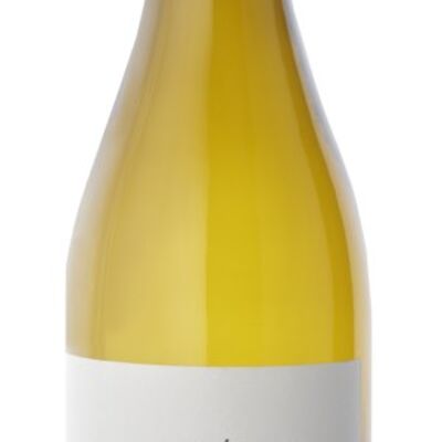 VINO BLANCO RIOJA JOVEN