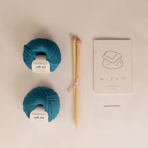 Kit pour tricoter un sac stylé