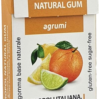 Chewing PROPOL GUM
