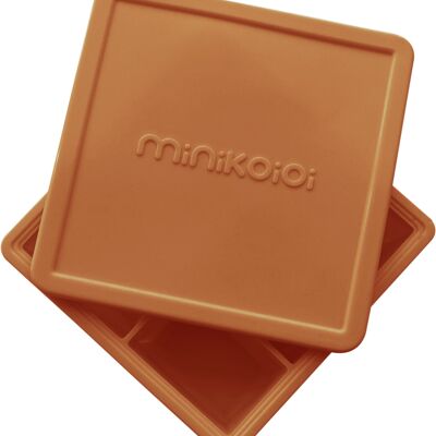 Multi-portion mold for preserving purees - Caramel