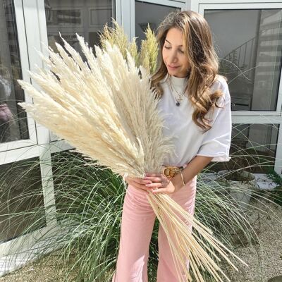 DELUXE PAMPAS GRASS LONG | WHITE