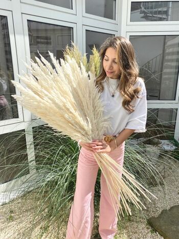 HERBE DE PAMPAS DE LUXE LONGUE | BLANCHE 1