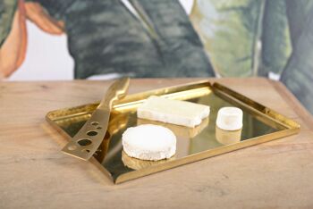 COUVERT A FROMAGE DORE DESIGN GRUYERE 3