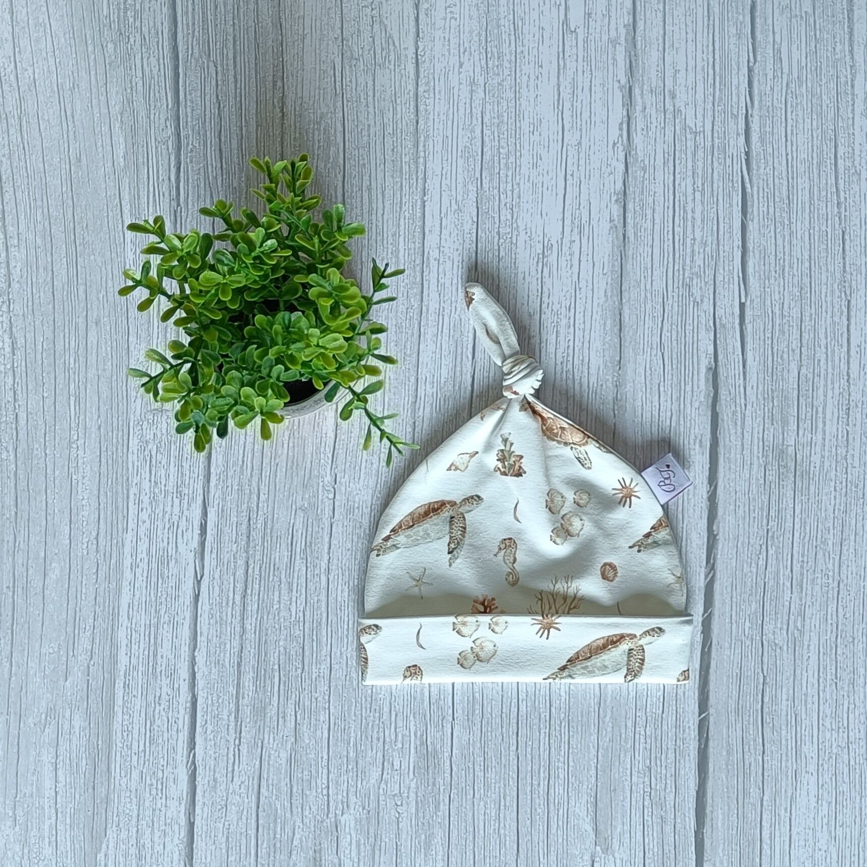 Tappo con bottone Tartaruga